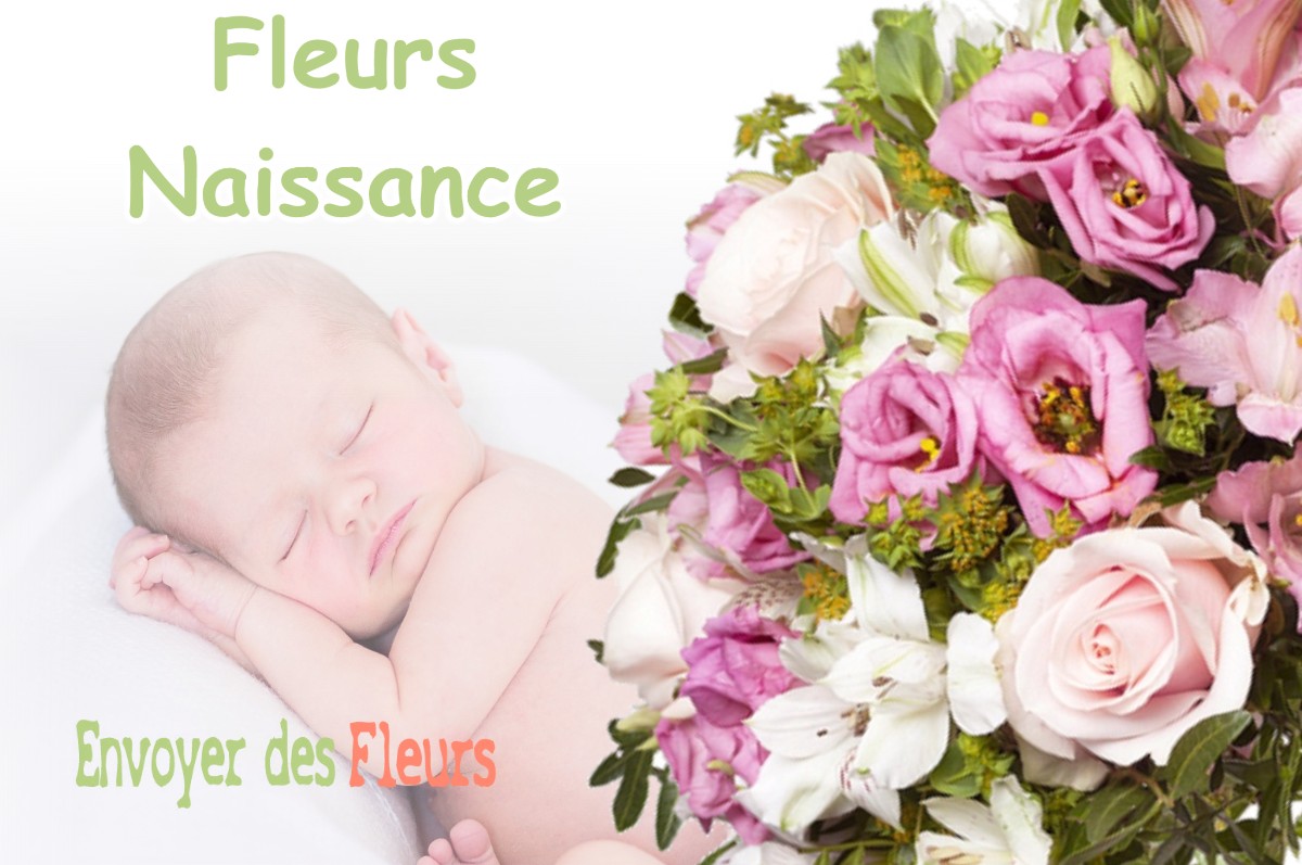 lIVRAISON FLEURS NAISSANCE à SAINT-VALLIER-DE-THIEY